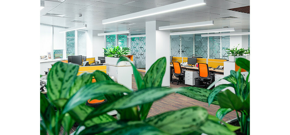 Офис Ipsen Farma – фото №5